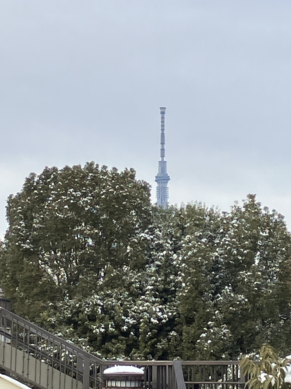 �؏�����勴